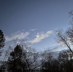 Meet your Posher, Marley